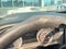 2020 Chevrolet Silverado 2500 HD High Country