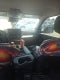 2024 Toyota Tundra 4WD Limited