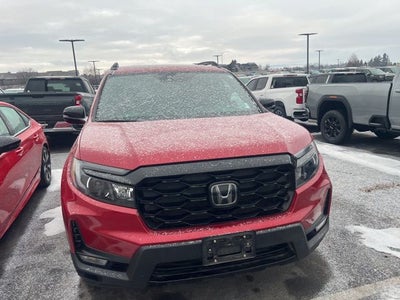 2023 Honda Passport Elite