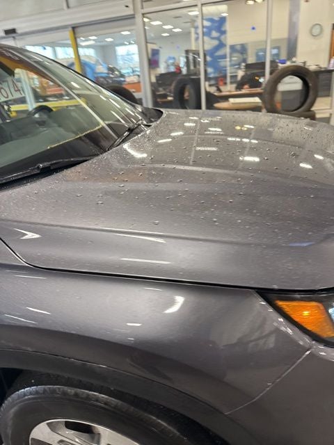 2024 Honda Pilot EX-L 7 Passenger